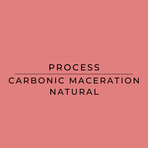 Carbonic maceration product box
